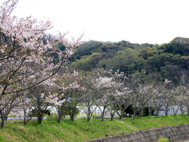 fuukei20160409-1