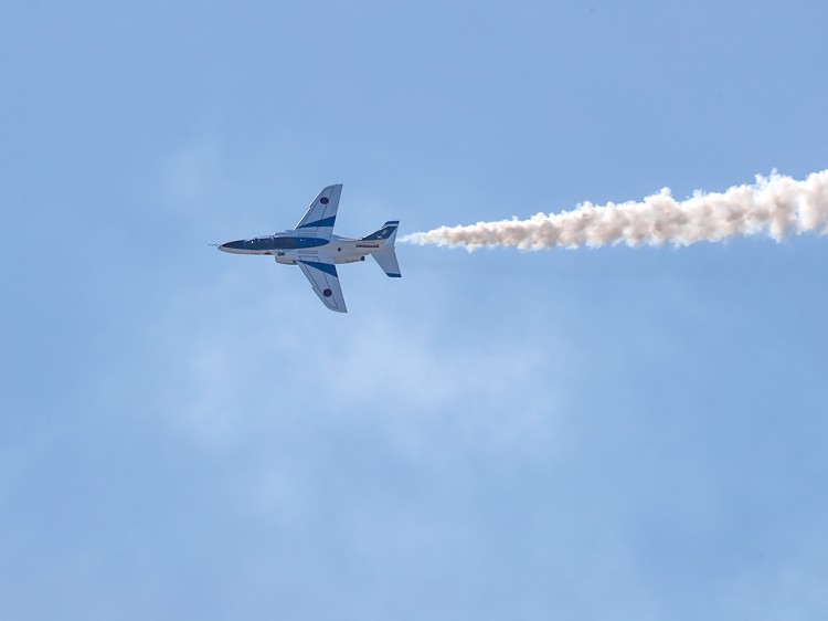 JSDF_T-4_BI_20170304-47