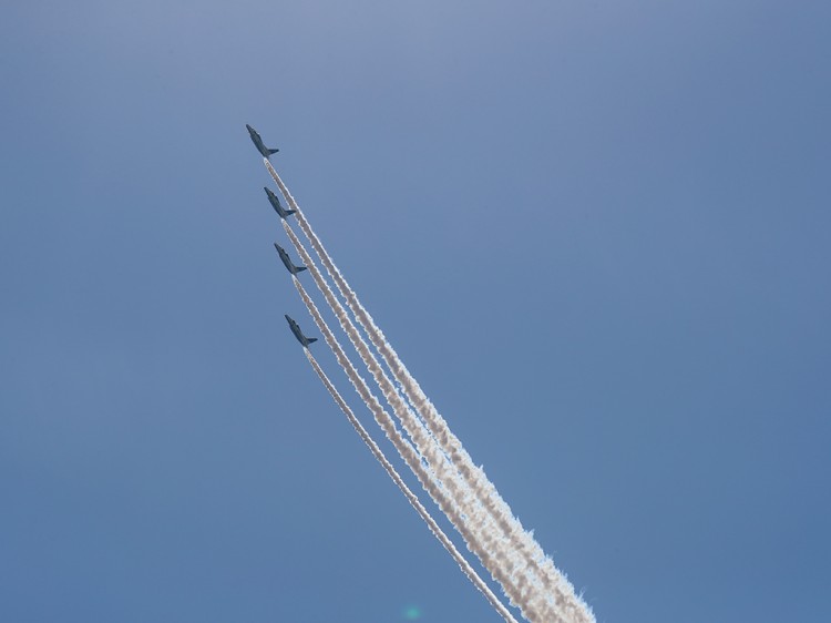 JSDF_T-4_BI_20170304-53